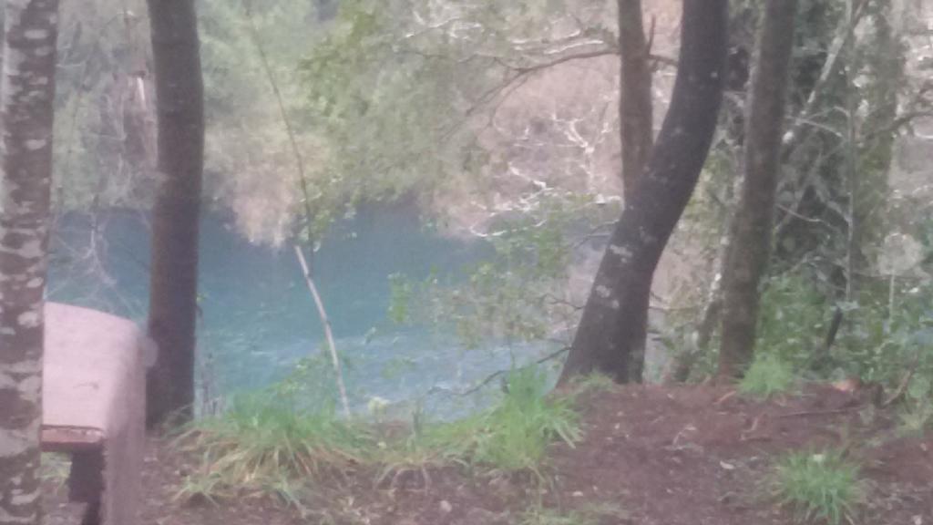 Cabanas Portal Del Rio Villarrica Eksteriør bilde